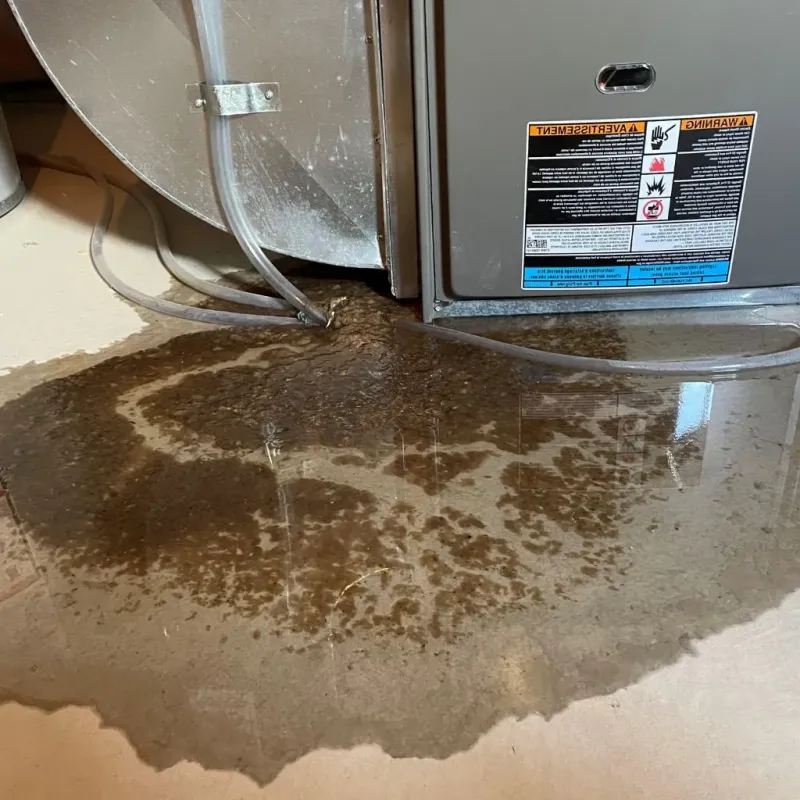 Pipe Burst and Leak Restoration in Fulton, NY